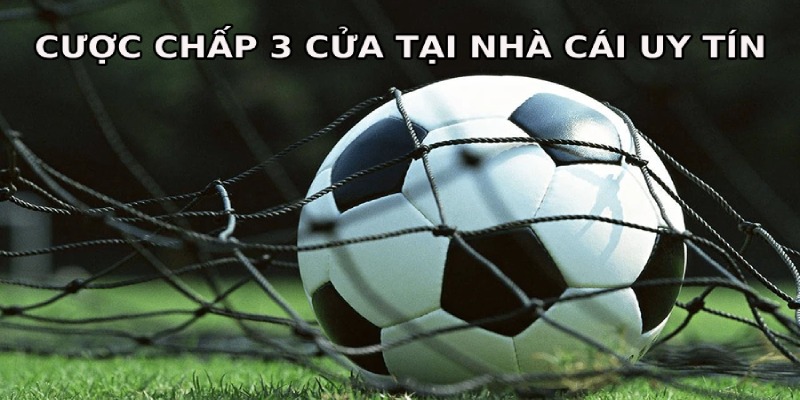 Cược 3 cửa tại nhà cái uy tín chất lượng
